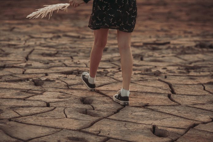 7-1-HuyenTran0301_Pixabay-nature-drought