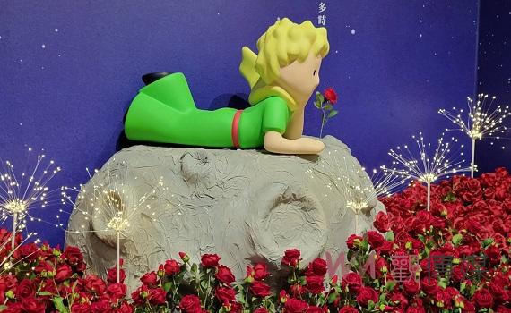 「蓋婭X小王子」玫瑰莊園揭幕　六大主題亮點精緻夢幻