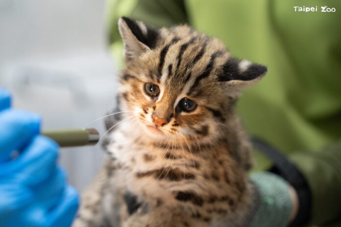 855253dd-3dee-4918-8149-a722a641f3e2