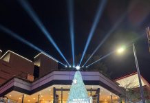 臺北耶誕燈飾超吸睛! 12/29-113/1/1精彩活動看這裡 圖/台北市政府提供