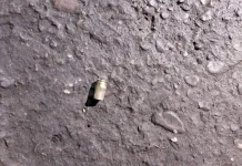 情侶口角竟波及無辜第三者喪命 台南將軍槍手收押不禁見 圖/翻攝畫面