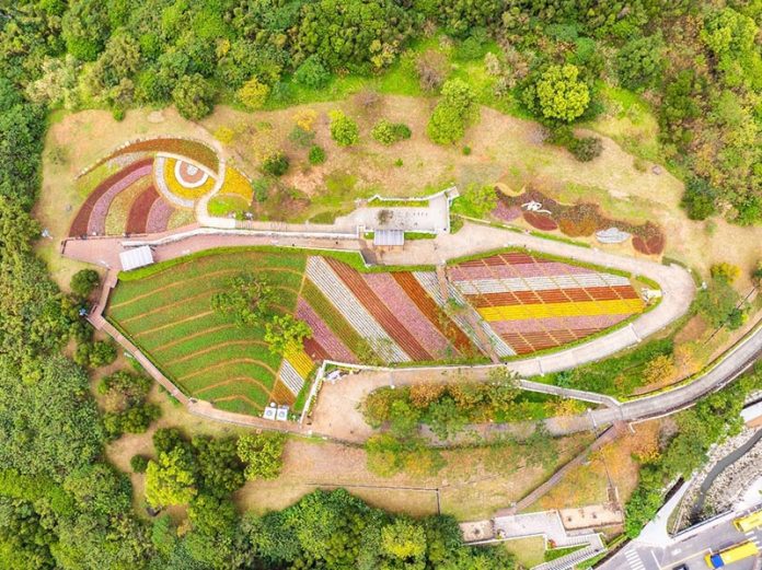 953249be-f35e-4516-a291-4d580d3bef6f 拷貝 圖/台北市政府提供