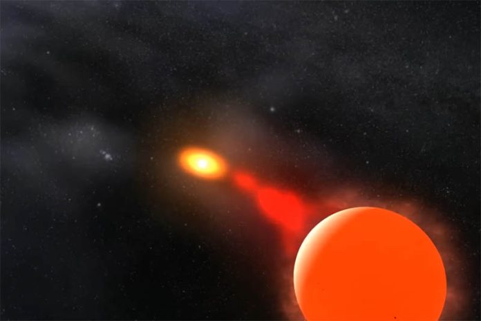 98a4cd5e-e027-494a-b227-c055f2c06bfe 拷貝 圖/台北市政府提供