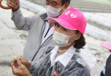 民調/宜花東三縣市藍營支持度均過半全面領先 綠僅三成