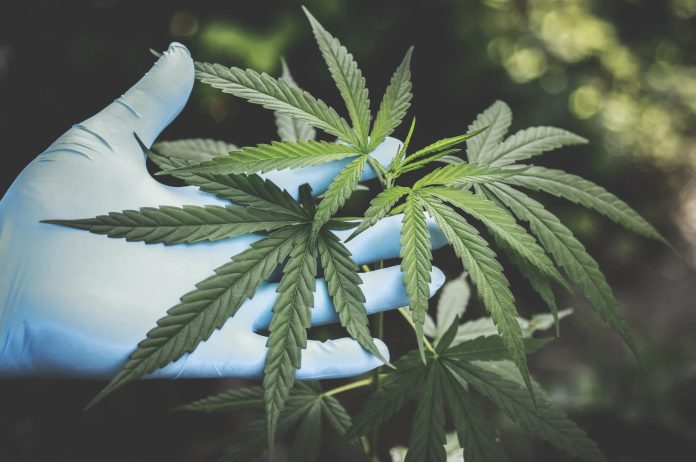 E688AAE59C96-2023-08-09-E4B88BE58D882.29.45