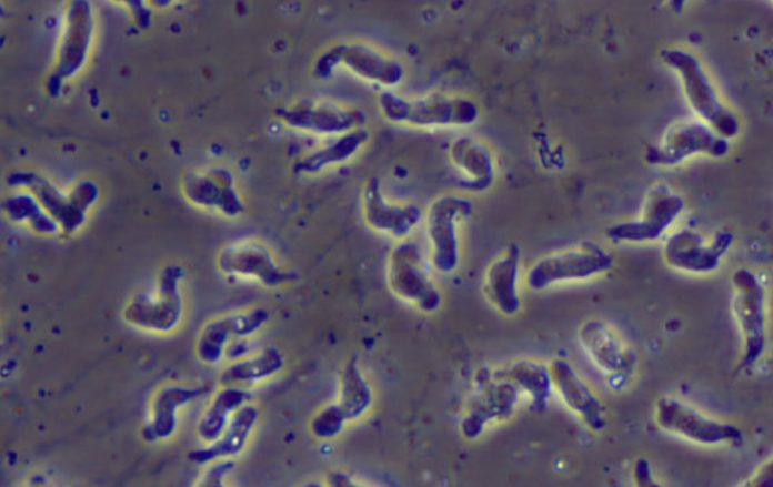 E688AAE59C96-2023-08-10-E4B88BE58D881.35.45