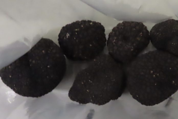 E688AAE59C96-2023-08-29-E4B88AE58D8810.50.23