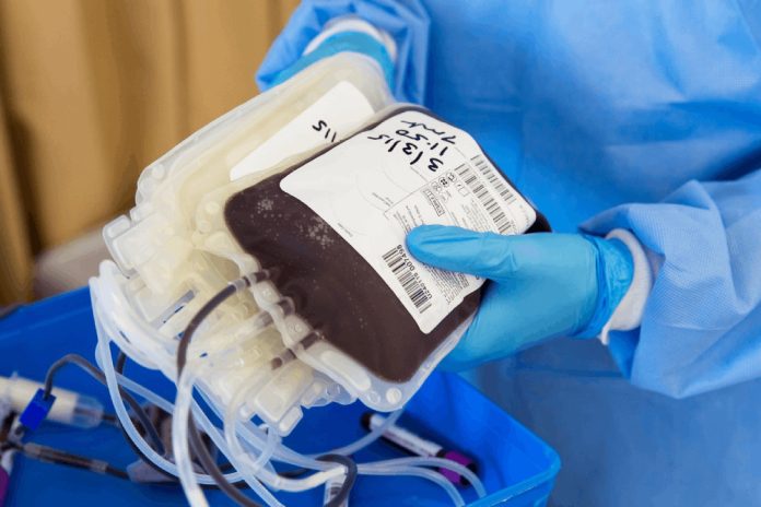 E785A7E78987E4BE86E6BA90EFBC9AAhmadArdityEFBC8FPixabay