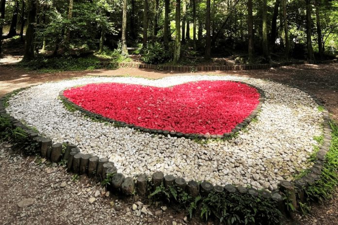 E7B6A0E894ADE7A9BAE6B0A3E6B885E696B0