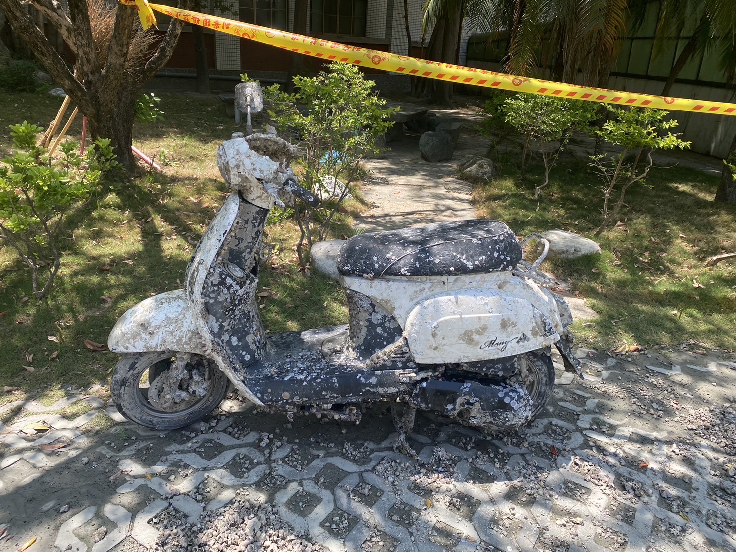 機車車身佈滿藤壺（圖/記者陳聖璋翻攝）