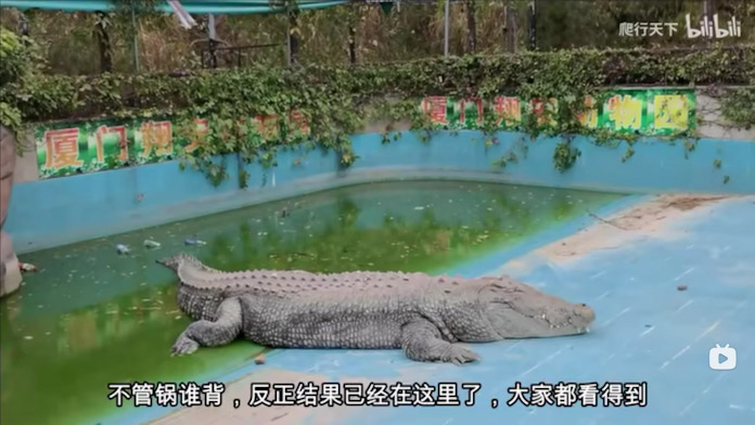 PSX_20230511_184354 圖/翻攝自爬行天下影片