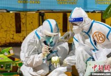 被禁2年終於鬆綁!國台辦宣布即日起恢復台灣釋迦輸陸 深圳寶安機場海關關員,正對進口的台灣釋迦進行查驗。圖/取材中新網