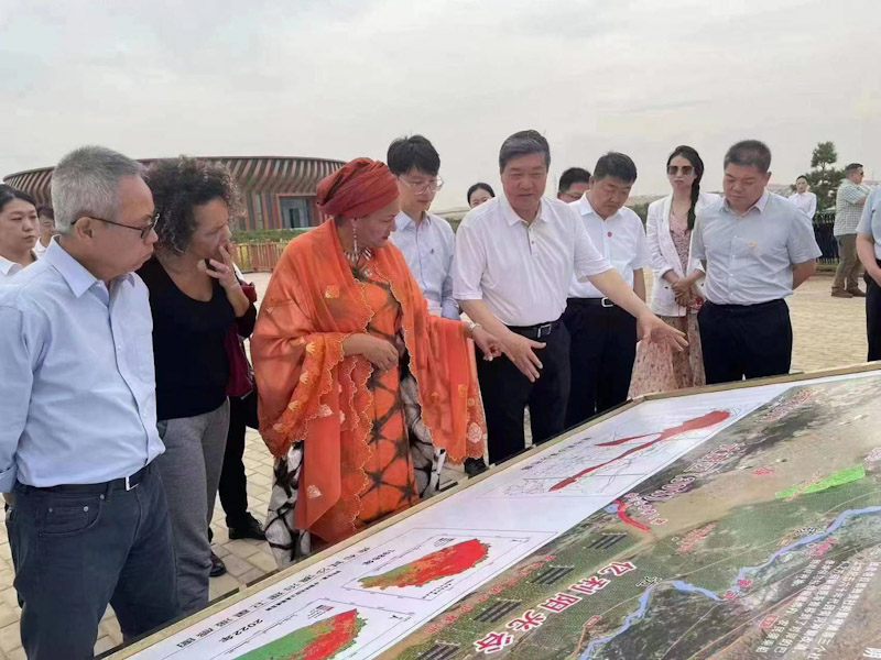 王文彪向阿明娜介紹內蒙古億利庫布其陽光谷立體生態光伏(電)治理專案。