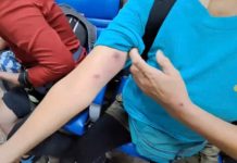 百隻虎頭蜂再次攻擊! 天外天墓園1人被螫休克