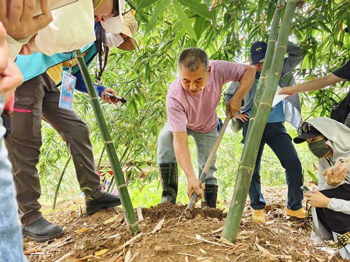 a532ce8b-b509-42f3-b1f1-bdbc154522c4 拷貝 圖/台北市政府