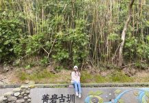 菁礐古圳清見底,百年歷史富人文 圖/台北市政府提供