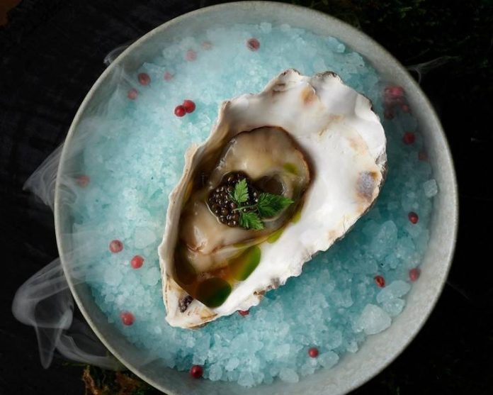 cbd7e48c33a9de5d654722a181256141