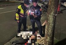 女子倒臥路旁 內湖警護安全 圖/台北市政府提供