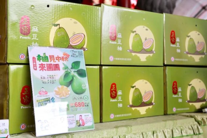 f53d3263308e8fed0136a159d0d82934