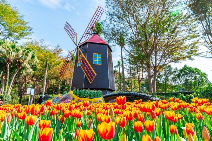 fdffe901-6055-4363-bd52-af84d4314e97