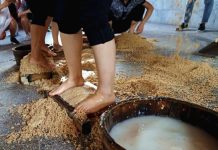 製曲用腳踩 茅台女員工「工作照」外流 網友:白送也不喝 圖說:茅台酒廠員工腳踩製曲。(取材今日頭條)