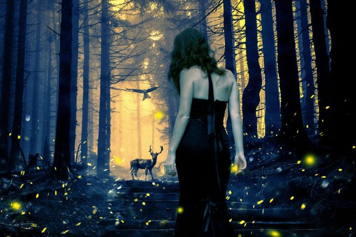 mskathrynneEFBC8FPixabay