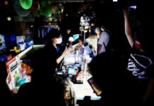 全臺大停電係興達電廠人為疏忽 經長自請處分、台電董總請辭