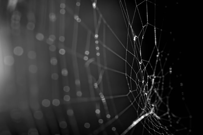 ricardo-gomez-angel-DpV__Z32awo-unsplash-1