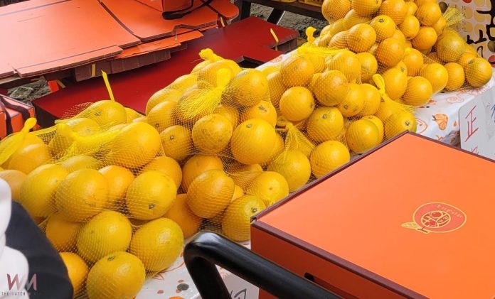 wm20250118205046838561