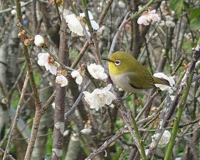 wm20250119203001437467