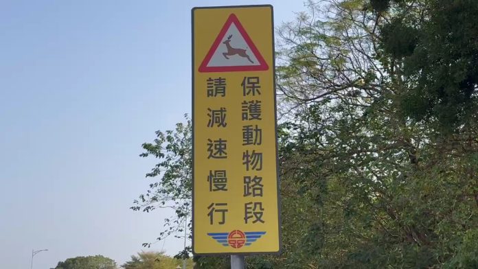 wm20250126194139807619