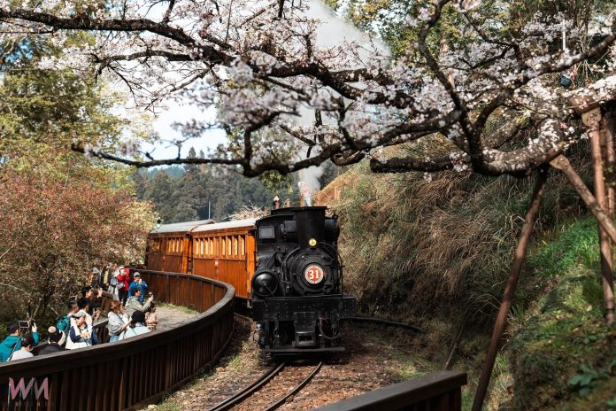 wm20250217195657365244