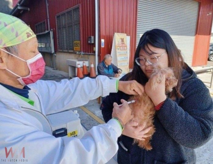 wm20250218175930226157