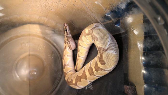 wm20250219211953106942