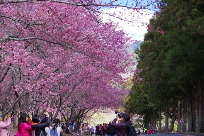 wm20250223165936996102