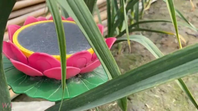 wm20250223212045038244