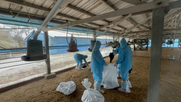 wm20250227205930307086