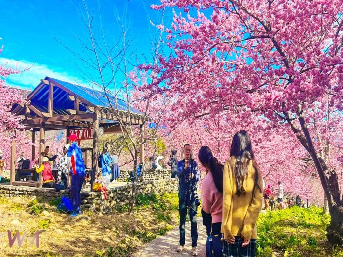 wm20250302084813933551