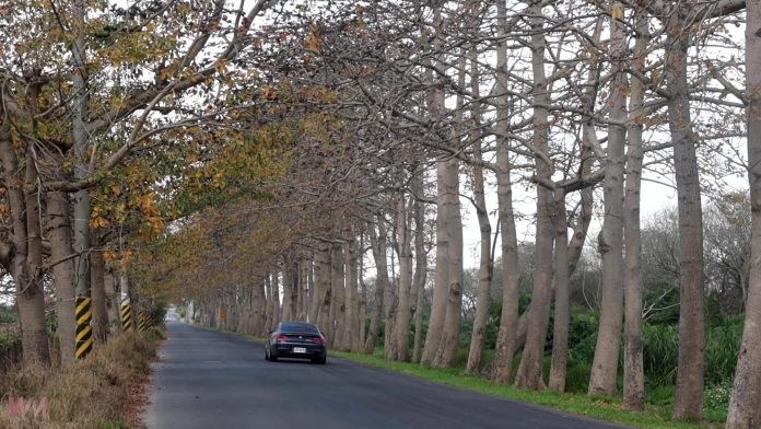 wm20250303195031695834