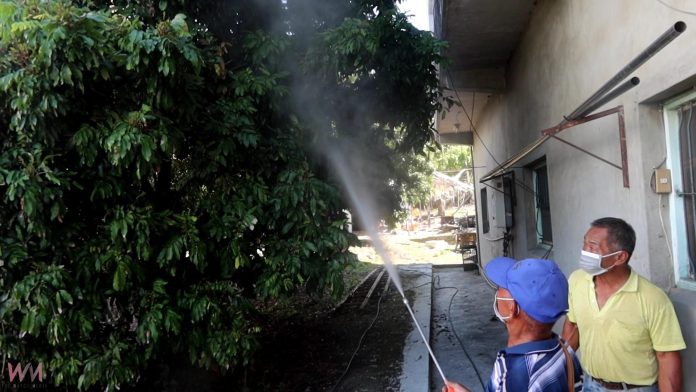 wm20250304195240690723