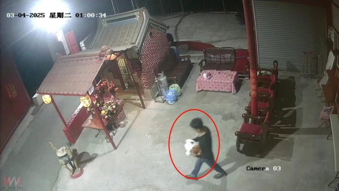 wm20250305211901744818