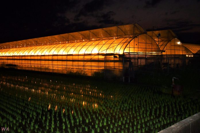 wm20250306203825622327