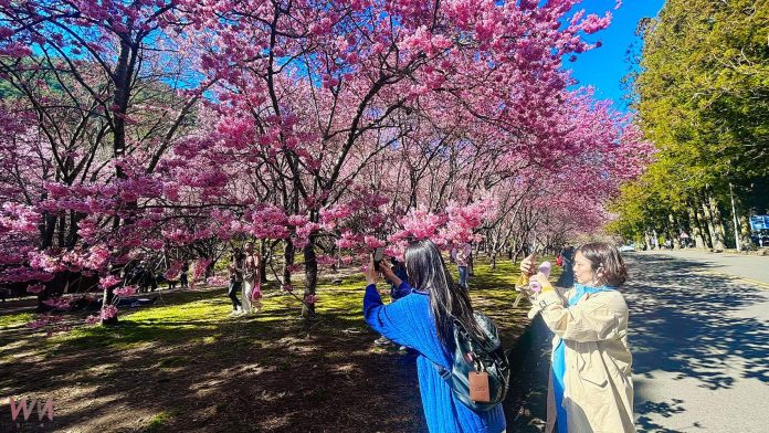 wm20250306211005905733