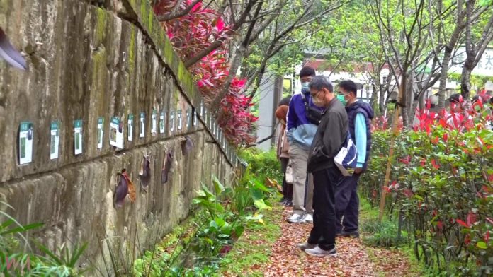 wm20250307195032843342