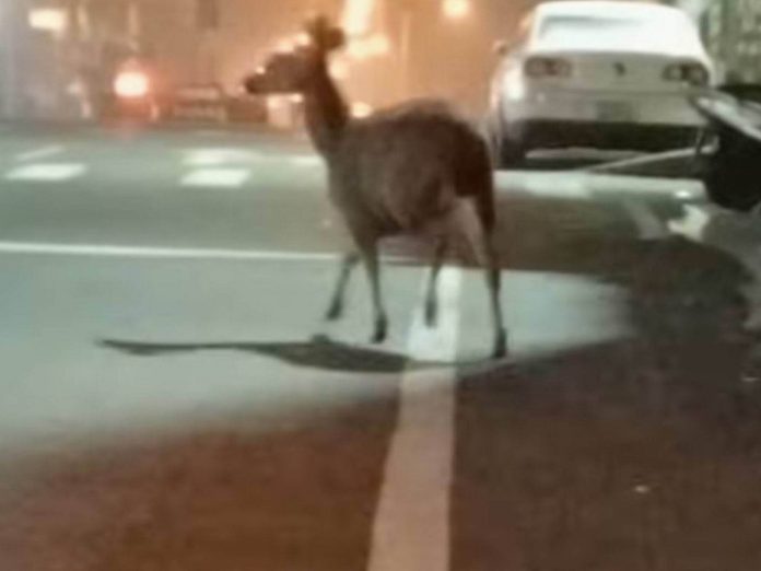 wm20250312201254237410