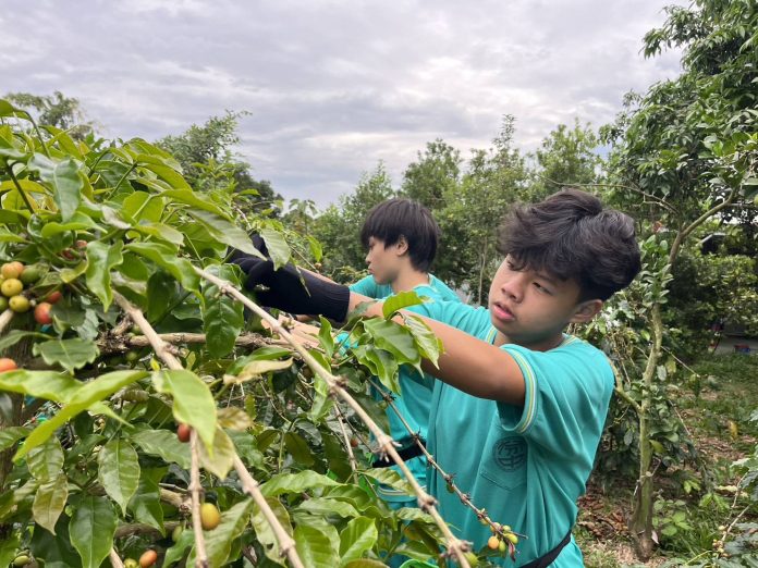 wm20250313141633071885