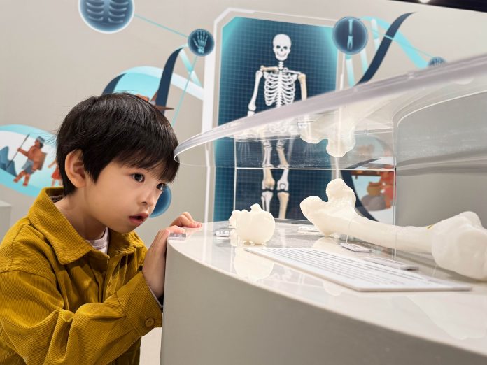 wm20250313183410589777