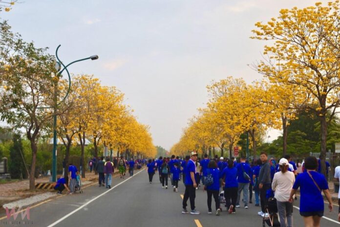 wm20250315200119012574