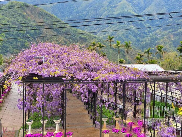 wm20250321200231433730