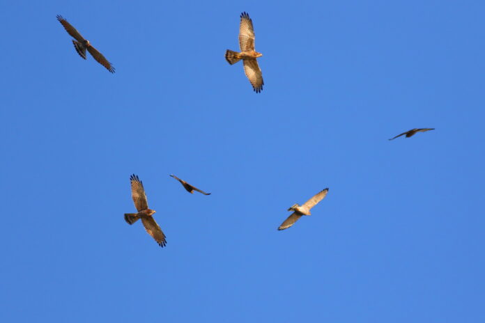 wm20250322212249355624